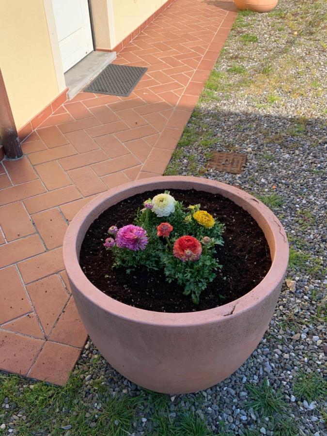 Appartamenti Vacanze Il Nottolini Capannori Exterior photo